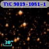 TYC 9019-1081-1