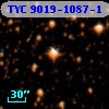 TYC 9019-1087-1