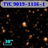TYC 9019-1116-1