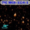TYC 9019-1124-1