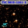 TYC 9019-1161-1