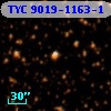 TYC 9019-1163-1