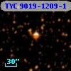 TYC 9019-1209-1