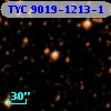 TYC 9019-1213-1
