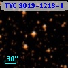 TYC 9019-1218-1
