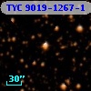 TYC 9019-1267-1