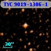 TYC 9019-1306-1