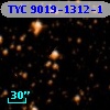 TYC 9019-1312-1