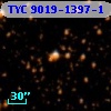 TYC 9019-1397-1