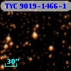 TYC 9019-1466-1