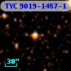 TYC 9019-1487-1