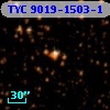 TYC 9019-1503-1