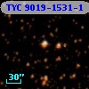 TYC 9019-1531-1