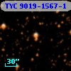 TYC 9019-1567-1