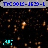 TYC 9019-1629-1