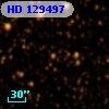 HD 129497