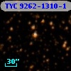 TYC 9262-1310-1