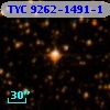 TYC 9262-1491-1