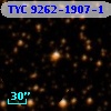 TYC 9262-1907-1