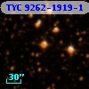 TYC 9262-1919-1
