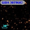 LEDA 3079602