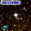 HD 134490