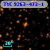 TYC 9263-473-1