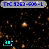 TYC 9263-608-1