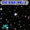TYC 9267-995-1