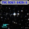 TYC 9267-1429-1