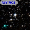 NSV  7021
