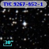 TYC 9267-852-1