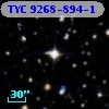TYC 9268-894-1