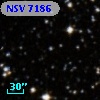 NSV  7186