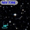 NSV  7386