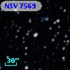 NSV  7569