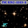 TYC 9282-1313-1