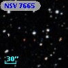 NSV  7665