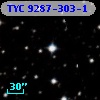 TYC 9287-303-1