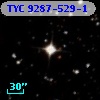 TYC 9287-529-1
