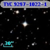 TYC 9287-1022-1