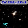TYC 9287-1313-1