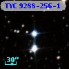 TYC 9288-256-1