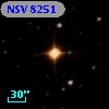 NSV  8251