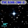 TYC 9288-206-1