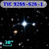 TYC 9288-828-1