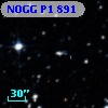 NOGG P1  891