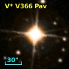 V* V366 Pav