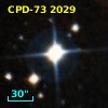 CPD-73  2029