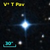 V* T Pav